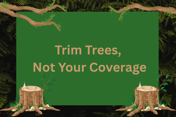 Protecting Your Tree Trimming Business: How Insurance Has You Covered